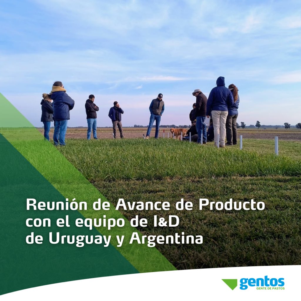 Gentos Uruguay tweet media