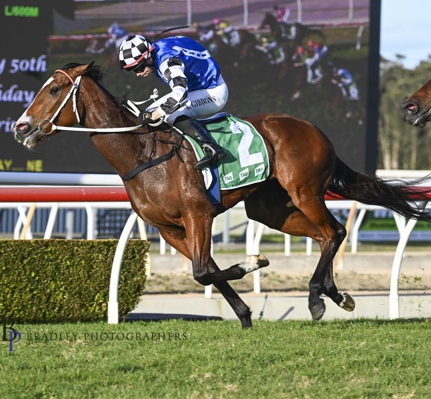 ausbloodstock2's tweet photo. Wishing all our racing fans a top weekend at the tracks! Back a winner and enjoy the thrill. #AustralianBloodstock #HorseRacing 🏇🏆 https://t.co/80B0IeG039
