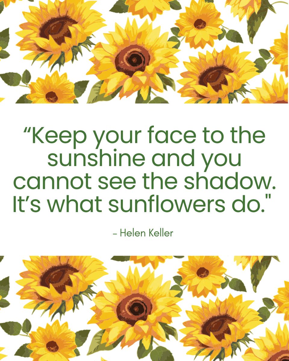 taratemptations's tweet photo. 🌻 Happy National Sunflower Day! 🌻 Who else loves sunflowers?? P.S. - Notice anything new here? 😉😉😉 Launching sooooon!!! #NationalSunflowerDay #SunflowerLove #NewDesign #ComingSoon #SunflowerSeason #HomeDecor #ExcitingLaunch #StayTuned https://t.co/KPOCYaVkvQ