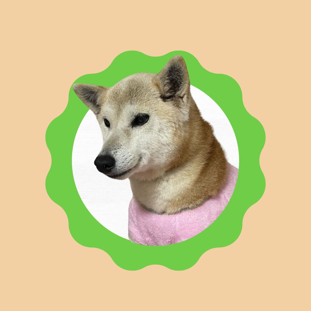 Neitocoin's tweet image. $NEITO is live! Burn plus renounce coming shortly

dexscreener.com/ethereum/0x13a…