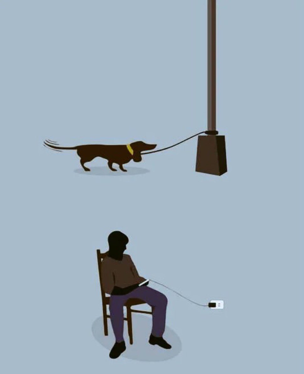 JakisaMungu's tweet image. Good morning from this side. 🕊️🌻 
Sitting is the new smoking. 
#SmallNotes