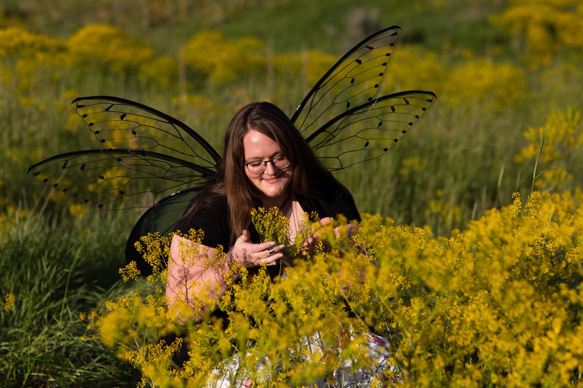 RealMelissaJane's tweet photo. A couple months ago I went with a bunch of awesome people and did a fairy photoshoot. https://t.co/7bZa3Z64hG