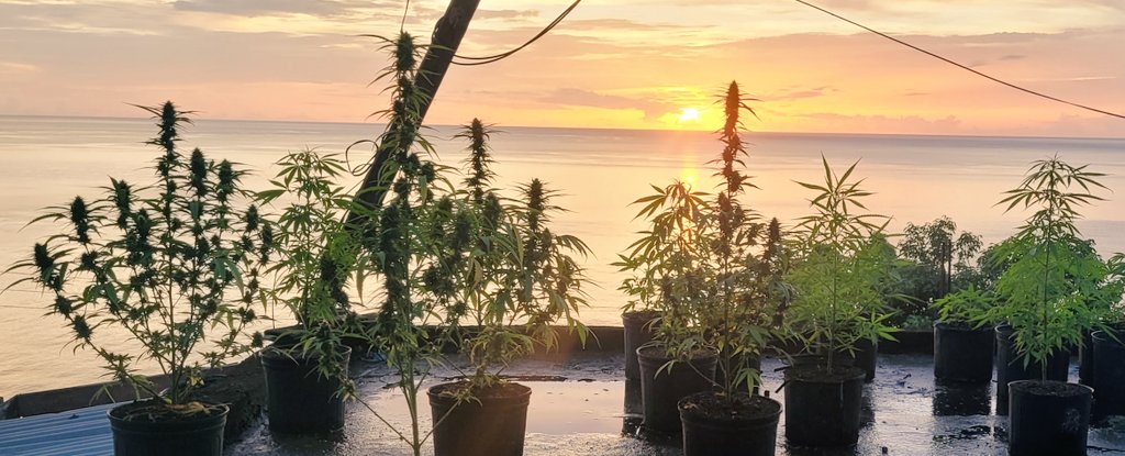 Sunset... 😏 🇩🇲