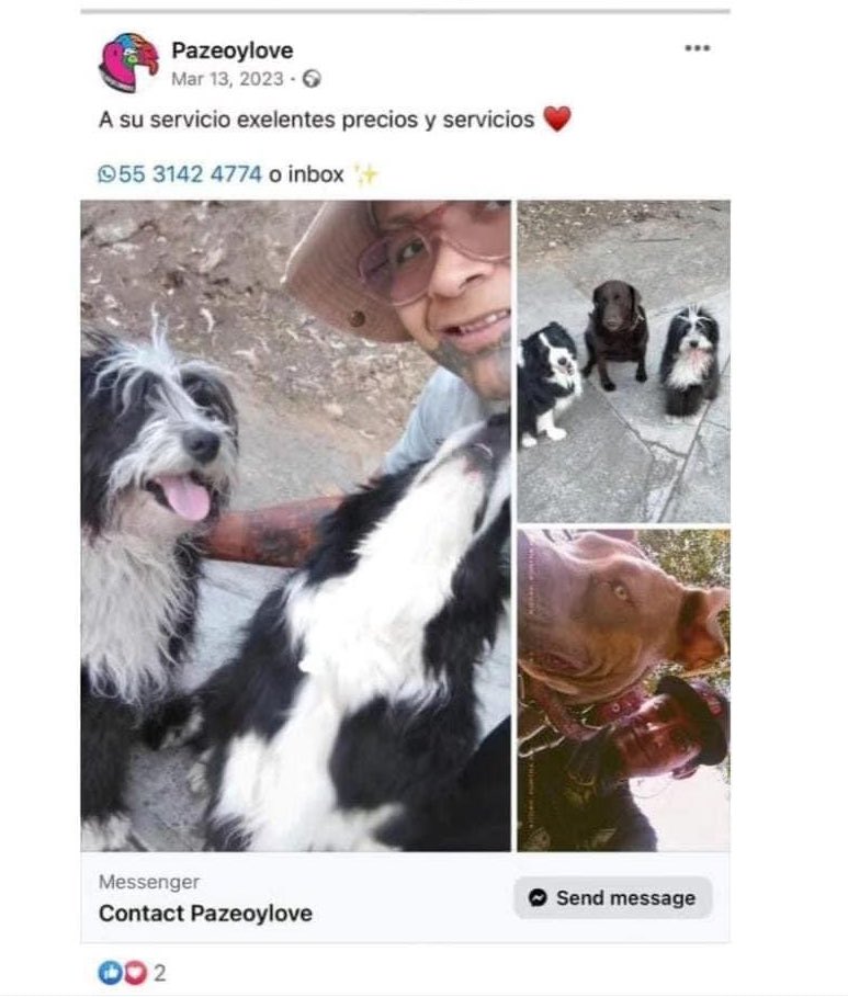 MorenaMia25's tweet photo. .@AlcCuajimalpa @Veci_cuajimalpa ESTAMOS CANSADOS de que no haya regulación para estos sujetos, es necesario que ma-te a un animal para que pongan atención? @AgatanCdmx @PAOTmx @UCS_GCDMX @FiscaliaCDMX @rbarriosfuentes 
¿LO CONOCES? DENÚNCIALO necesito datos para denunciarlo. https://t.co/kSWsOWbdtA