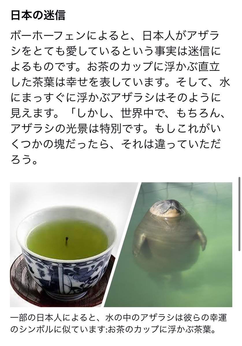 hokahoka_times's tweet photo. オランダ側のポピュラーなニュースサイトにも掲載されてるらしいんだけど、茶柱履修されてて笑う 
この記事書くために茶柱の概念調べたオランダの人がいると思うとジワる… https://t.co/jQ2Wrth9ex