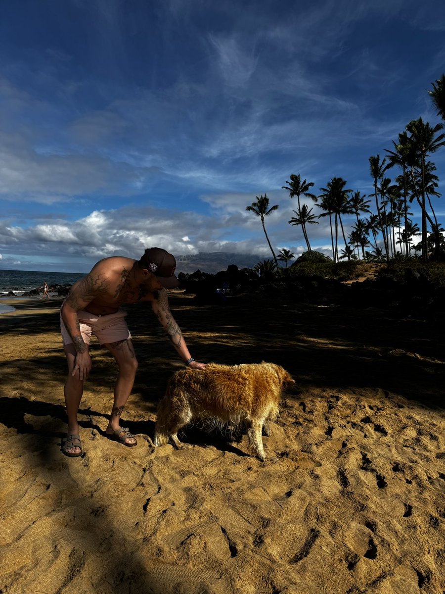 BadFranky_'s tweet photo. Mahalo 😎🌴 #Maui https://t.co/PYTVqD12Bo