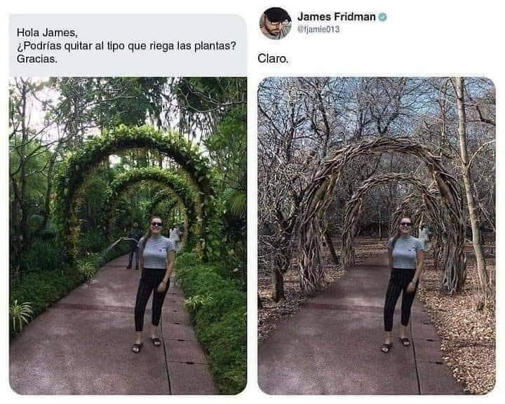 Rincón Curioso tweet media