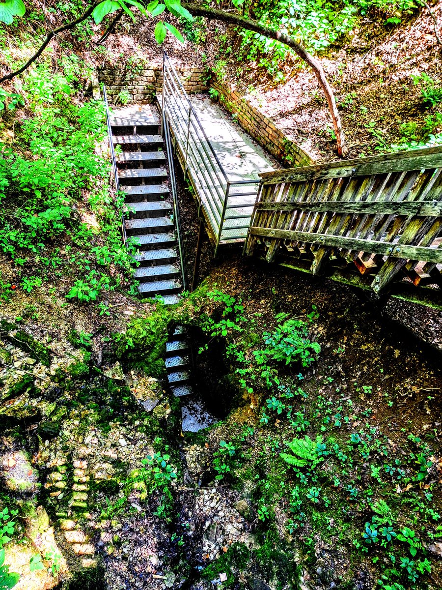 programmer1200's tweet image. Devils Well, located in the Mark Twain National Forest near Salem Missouri. #missouri #forest #nationalforest #cave