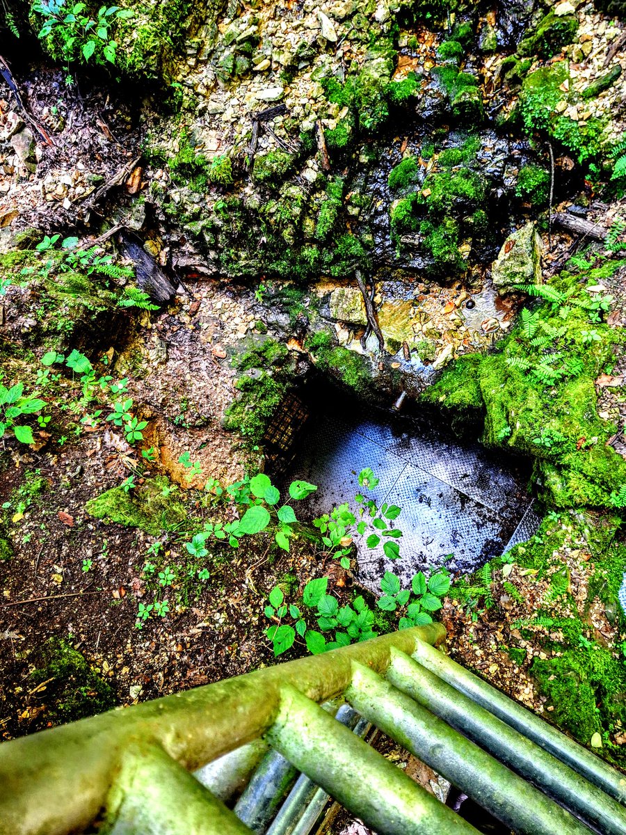 programmer1200's tweet image. Devils Well, located in the Mark Twain National Forest near Salem Missouri. #missouri #forest #nationalforest #cave
