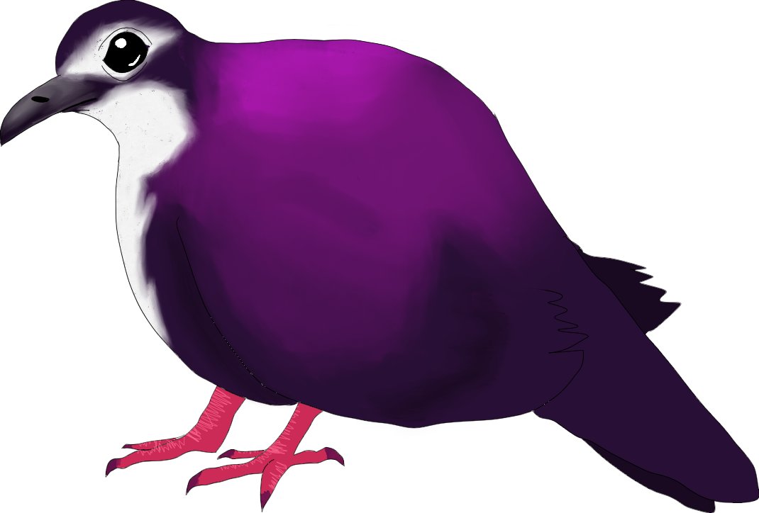 plecopleco tweet media