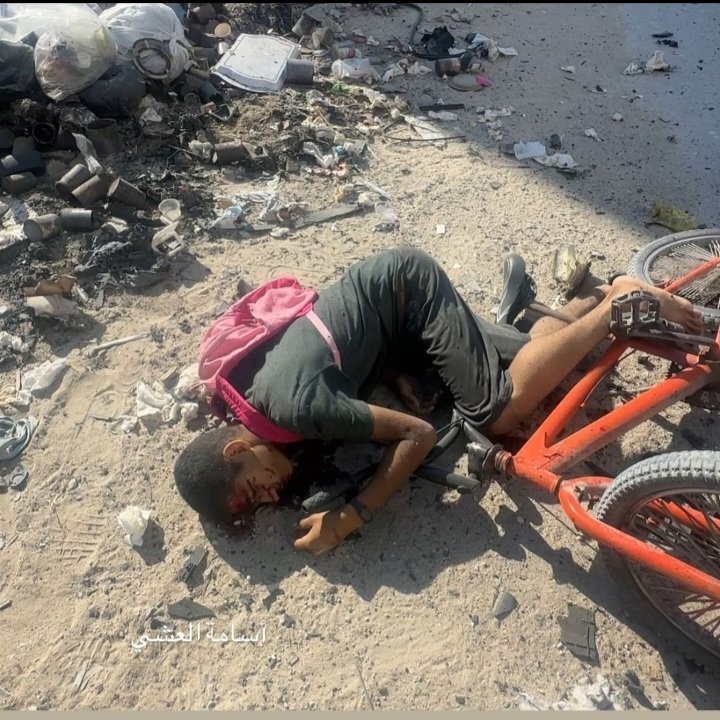 Richard Medhurst tweet media