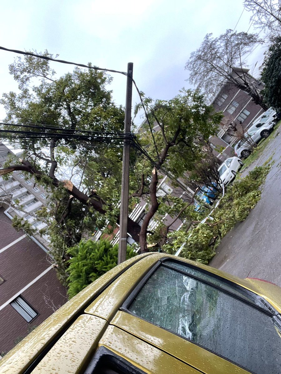 BarbyrSol's tweet photo. Desde ayer sin luz por la caída de un poste dentro del condominio en macul y @EnelChile no da solución post emergencias. Hace falta @copelecchile en santiago! Viví 7 meses en el sur y nunca quede sin luz con temporales. @Enel_Informa_CL https://t.co/ZixA1odBs2