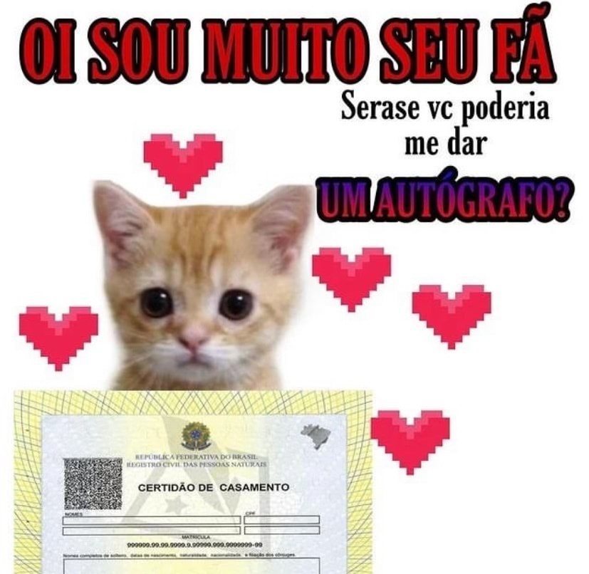 memeparaoarroba's tweet photo. https://t.co/ikwfhQf6Qy