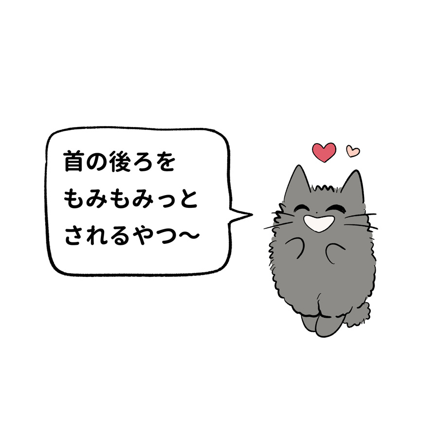 好きな撫でられ方発表ねこちゃん