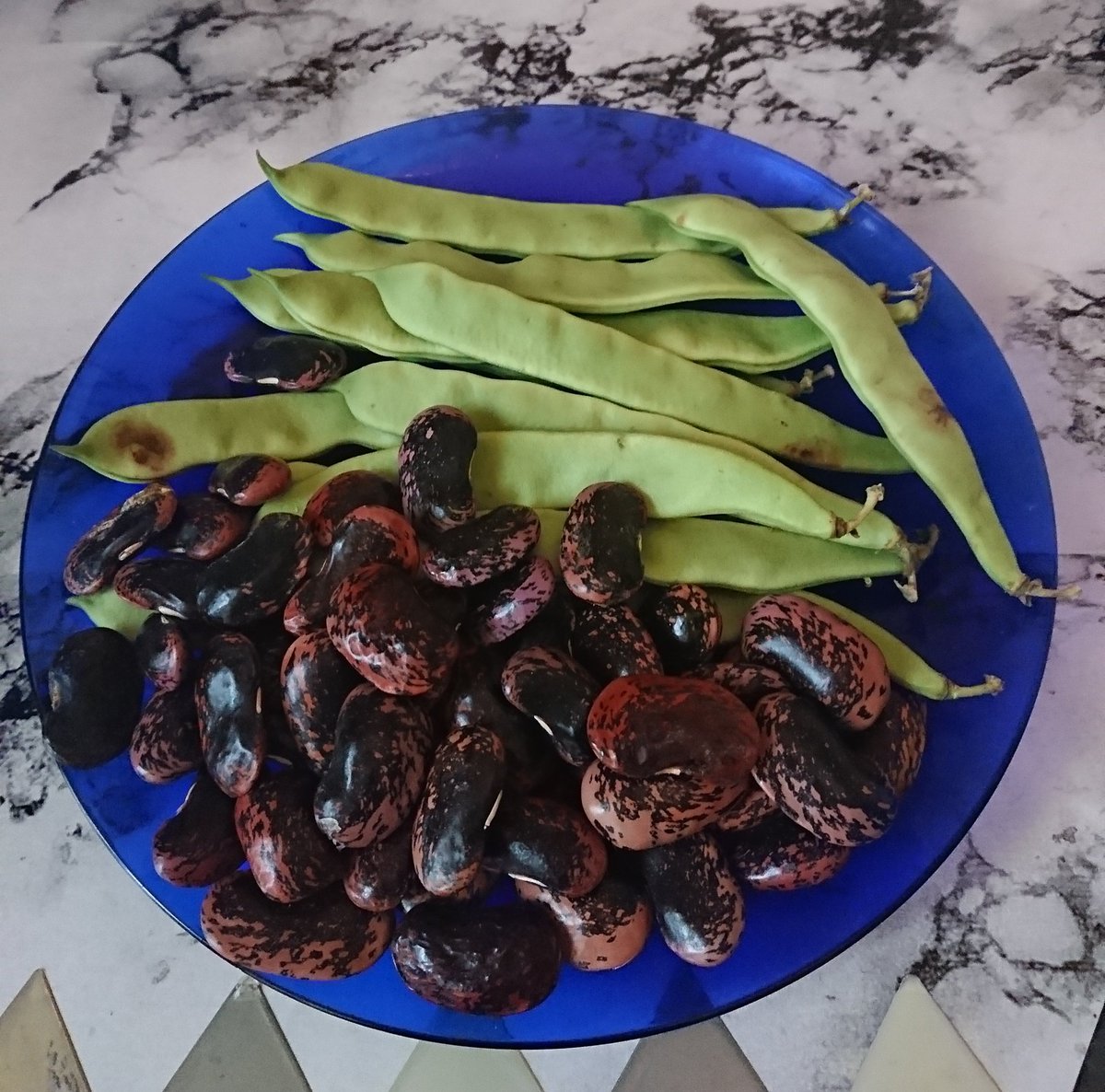 secureenergy2's tweet photo. La tierra donde vivimos.
Nos da alimento y nos da abundancia.
#Acciónmedioambiental #Tierra #Naturaleza https://t.co/RaSDEXayyJ