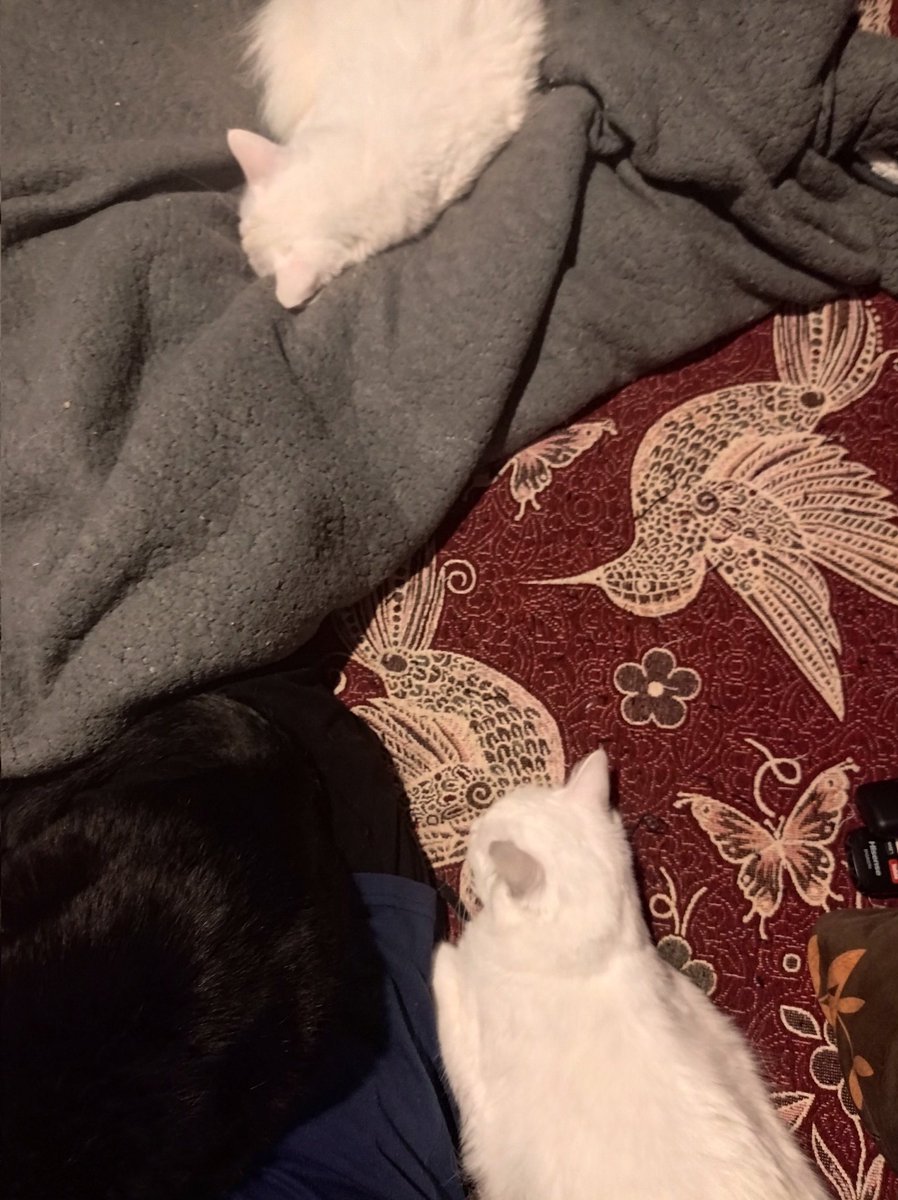 siriasaldana's tweet image. Adivinen en dónde estoy?
#ReformaAlPoderJudicialYa
#DesprivaticemosAlPoderJudicial
#PorUnPoderJudicialQueSirvaAlPueblo