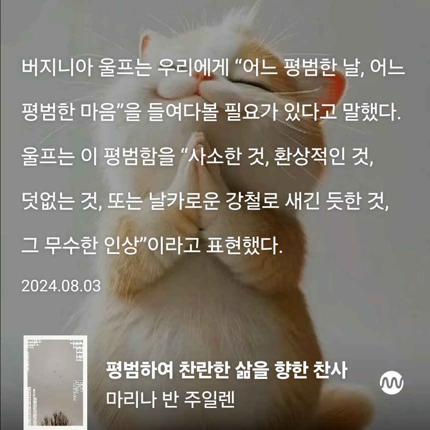 "버지니아 울프는 우리에게 “어느 평범한 날, 어느 평범한 마음”을 들여다볼 필요가 있다고 말했다. 울프는 이 평범함을 “사소한 것, 환상적인 것, 덧없는 것, 또는 날카로운 강철로 새긴 듯한 것, 그 무수한 인상”이라고 표현했다."
마리나 반 주일렌 &lt;평범하여 찬란한 삶을 향한 찬사&gt;

평범한