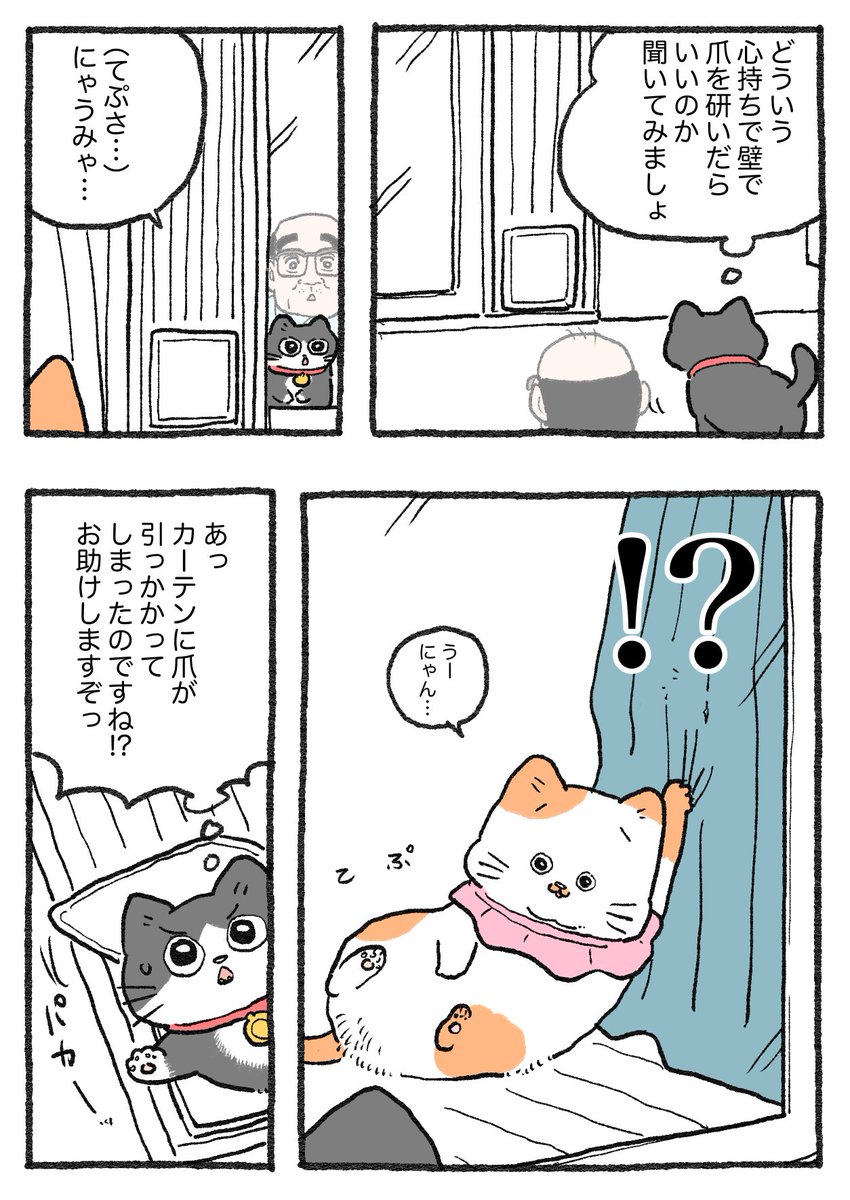 ねこに転生したおじさん。その518