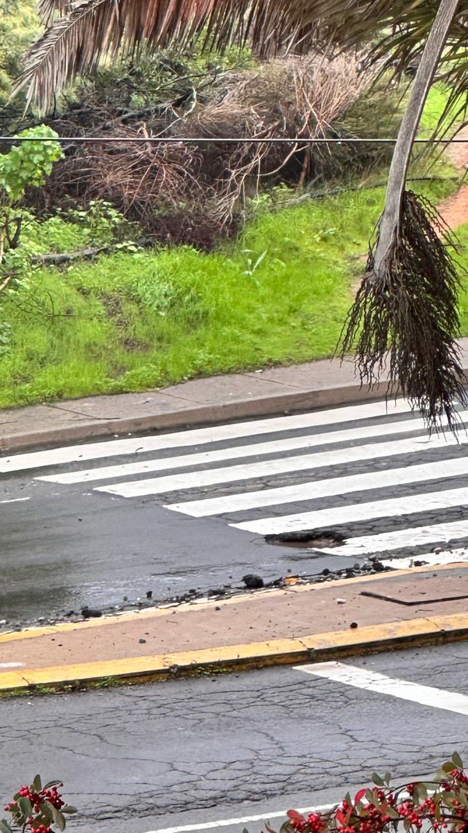 mitobernal's tweet photo. Este hoyo lleva más de 1 mes reventando neumáticos en la entrada a Viña (cruce de peatones frente a Condominio Calafquen). Lo he reportado al chat de seguridad ciudadana, a las redes de la alcaldesa y no hay solución. Espero  no tenga que ocurrir un accidente para lo arreglen! https://t.co/0nbogpOicy