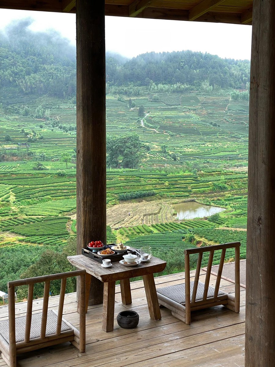morimatea's tweet photo. You‘d think you were stepping into a fairyland.
.
.
.
#teagarden #teahouse #naturephotography #freetea #relaxmood #quietmind #innerpeace #teaforlife #joyofmovement #enjoying #secretarea #fairyland #teaoutdoors #wuyishan #ancientarchitecture #charmed #chinesetea #morimatea https://t.co/w2CtWWzUym