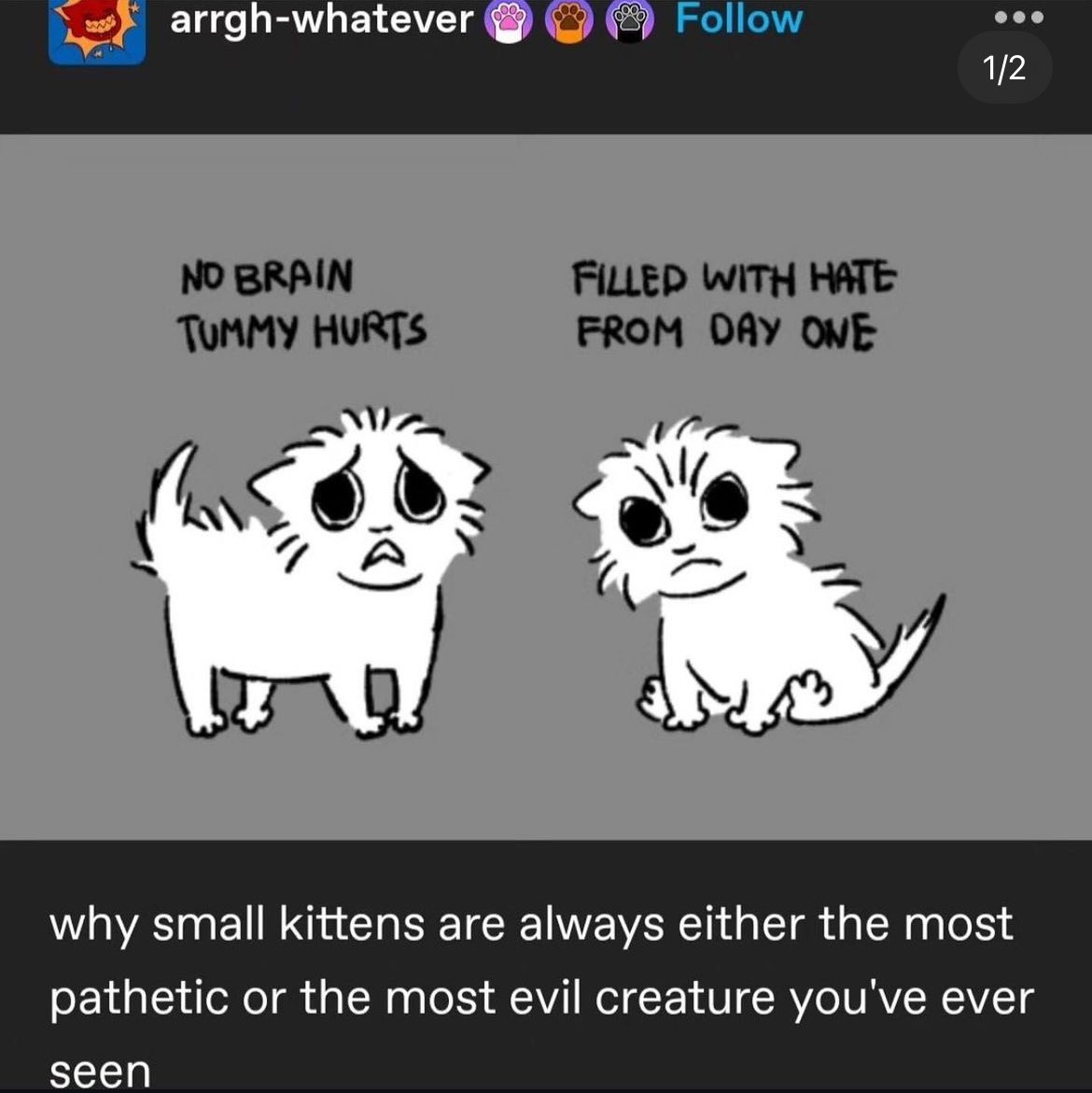 PunchingCat's tweet photo. real 😂 https://t.co/nMdZBtDe58