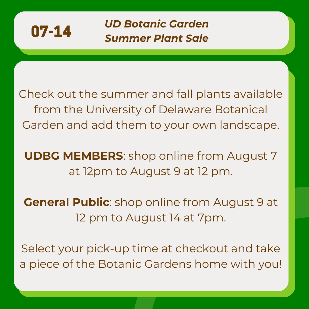 DENINUD's tweet photo. 🥳Happy August!🥳

🗓️As summer break comes to a close, check out these last few events as you gear back up for fall semester!

Learn more -
Botanic Gardens: https://t.co/LustSf1YQ5
Research Symposium: https://t.co/2JLXUlWDo3
UD Welcome Days: https://t.co/zoZi94duey https://t.co/bHROKFHFeC
