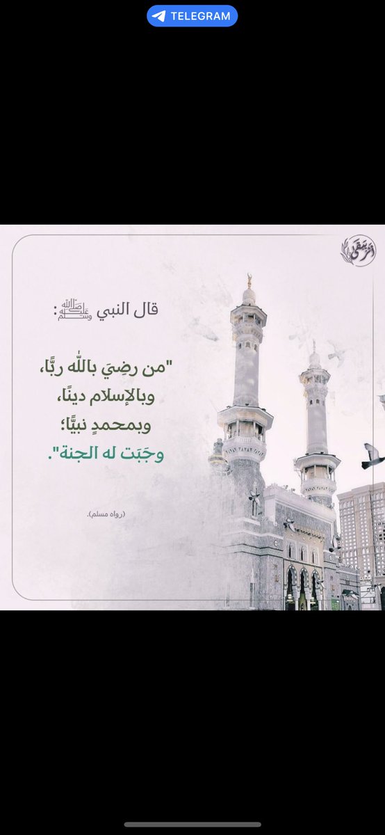 فوزيه مجرشي tweet media