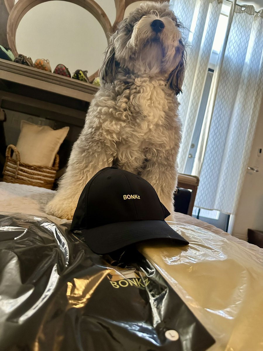 SnappleSauceee's tweet photo. @BonkzNFT_ WHALE CARE PACKAGE.. JUST DROPPED!!!

 Whale benefits keep getting better!🐳🐳

Go get some swag.. online at the @BonkzNFT_ merch store!! 

Bronx is a happy pup!! 
🚨🚨🚨🚨🔥🔥🔥🔥🔥🚨🚨🚨🚨 https://t.co/9fjhYib4nb
