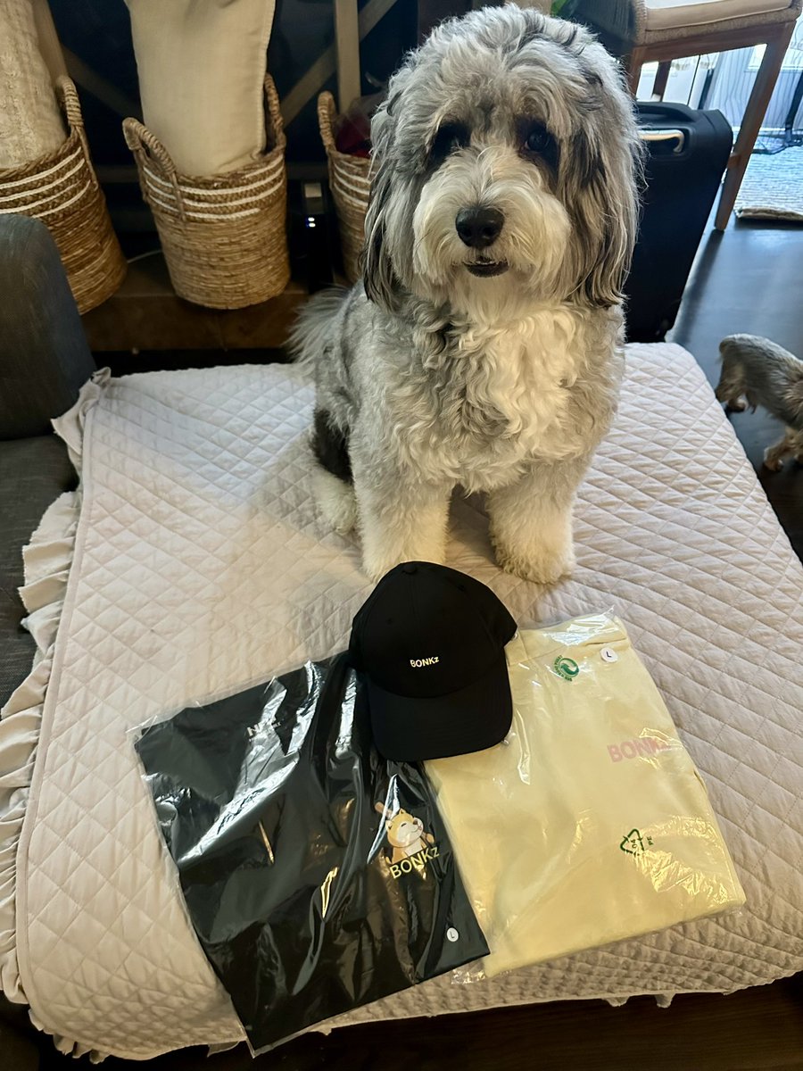 SnappleSauceee's tweet photo. @BonkzNFT_ WHALE CARE PACKAGE.. JUST DROPPED!!!

 Whale benefits keep getting better!🐳🐳

Go get some swag.. online at the @BonkzNFT_ merch store!! 

Bronx is a happy pup!! 
🚨🚨🚨🚨🔥🔥🔥🔥🔥🚨🚨🚨🚨 https://t.co/9fjhYib4nb