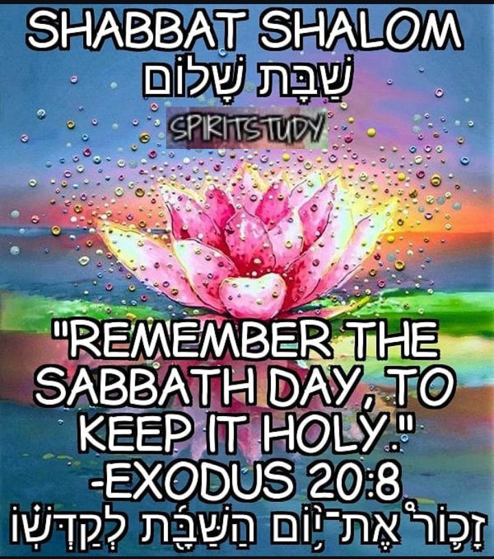 SpiritStudy313's tweet image. #Shabbat Shalom. Remember to keep it #Holy.