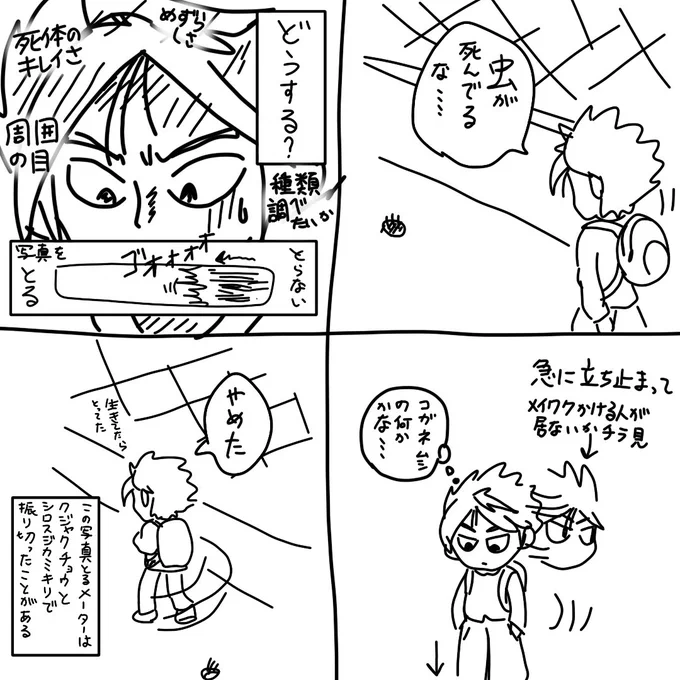 虫の死骸に会った時 