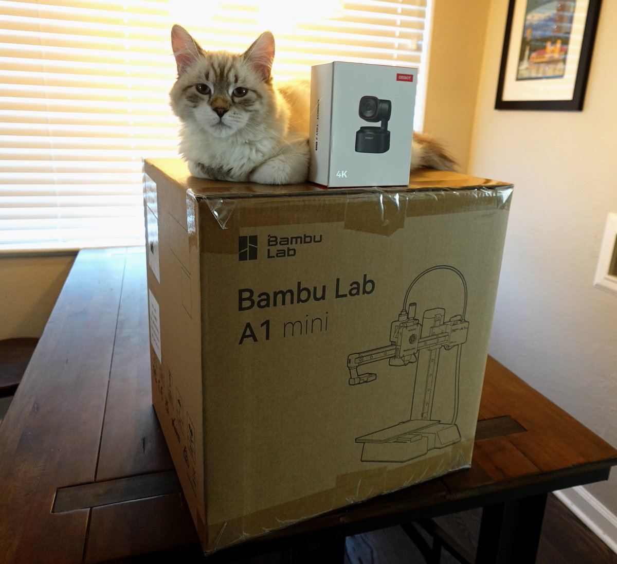 Our Chief Pet Officer has decided to also give away a <a href="/OBSBOT_Official/">OBSBOT</a> Tiny 2 Lite as well !! 

To be entered to win the <a href="/OBSBOT_Official/">OBSBOT</a> Tiny 2 Lite all you have to do is come into <a href="/Milabug_Kick/">Milabug</a> chat and type in Happy Friday !  kick.com/Milabug

We are drawing the name