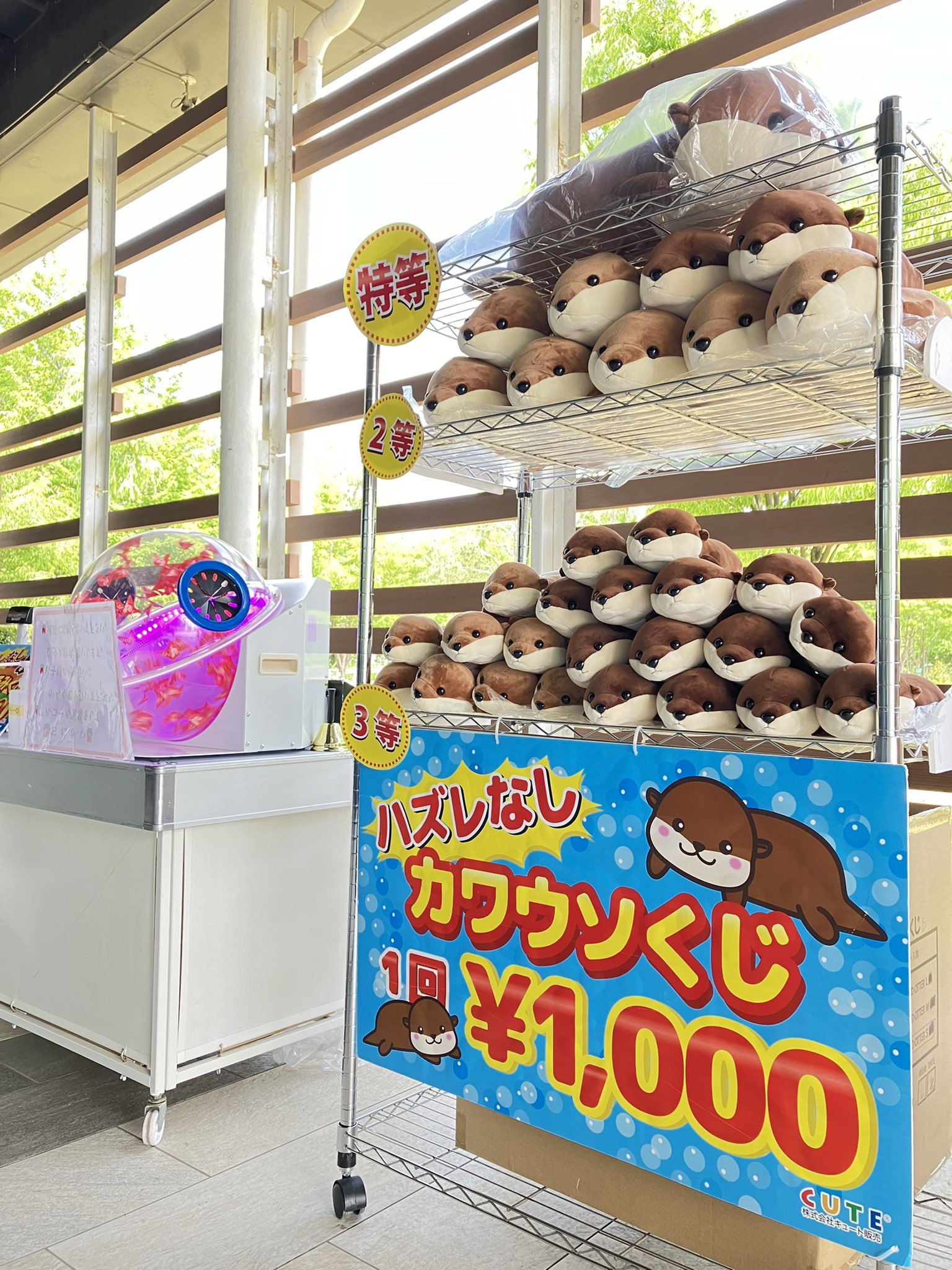 新潟市水族館ﾐｭｰｼﾞｱﾑｼｮｯﾌﾟマリンピアハート on X: 