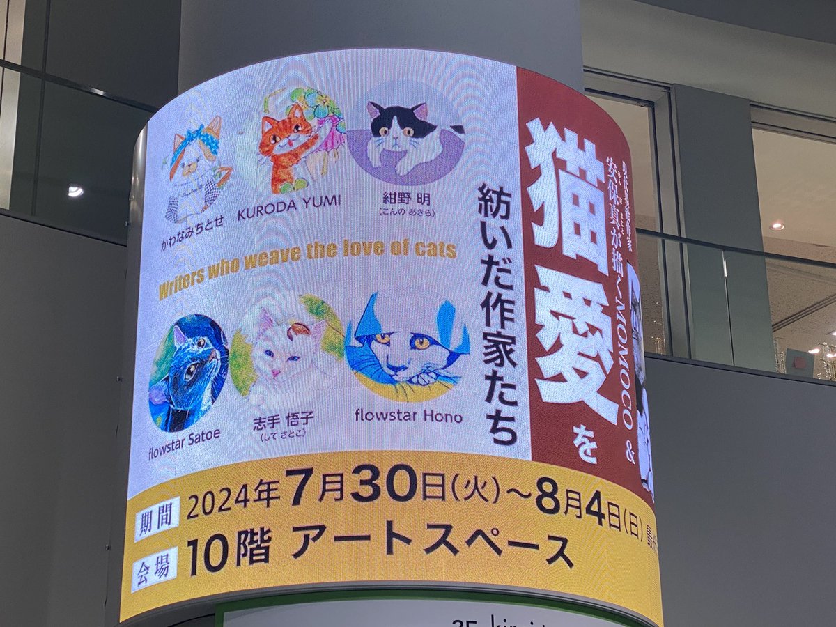 Amchouland tweet media