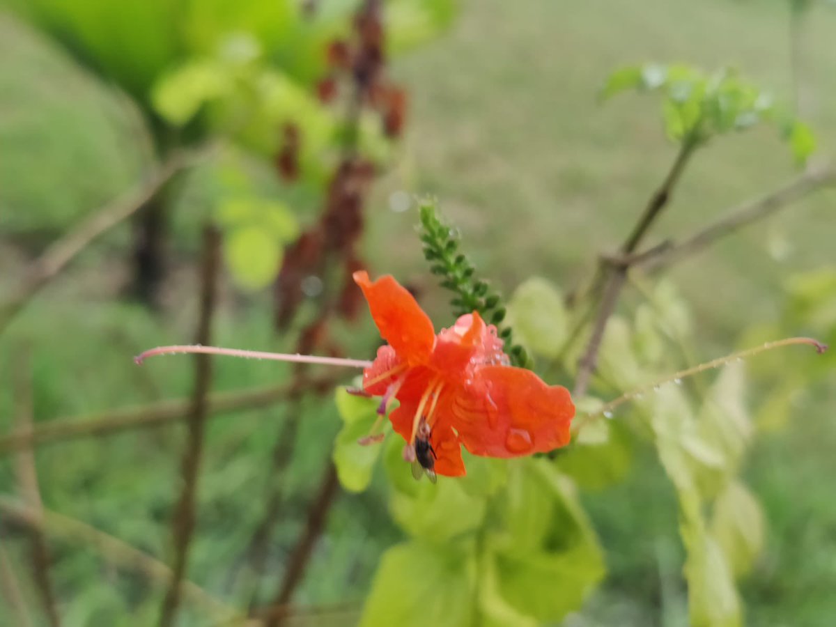 Priyalpoddar1's tweet photo. Rate my photography skills 😀
P.s- I am not a pro #earlymorningclick https://t.co/hFTWqItxiT