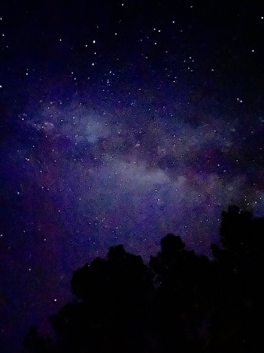 twoodard8's tweet photo. Thank you to Angel Fire, New Mexico for wonderful cool mornings, beautiful starry nights, great hikes, and priceless time with family.
#AngelFire
#NewMexico https://t.co/XXUlXXjANd