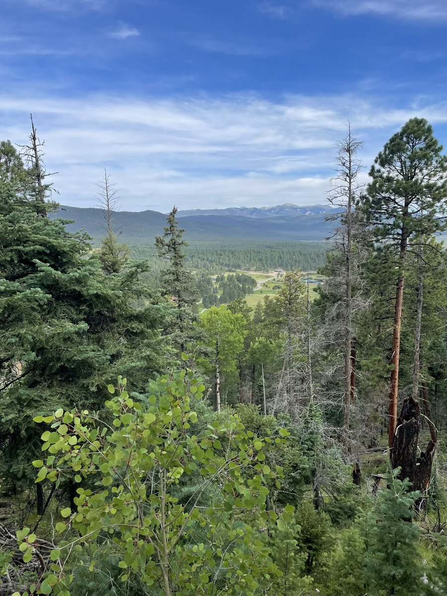 twoodard8's tweet photo. Thank you to Angel Fire, New Mexico for wonderful cool mornings, beautiful starry nights, great hikes, and priceless time with family.
#AngelFire
#NewMexico https://t.co/XXUlXXjANd