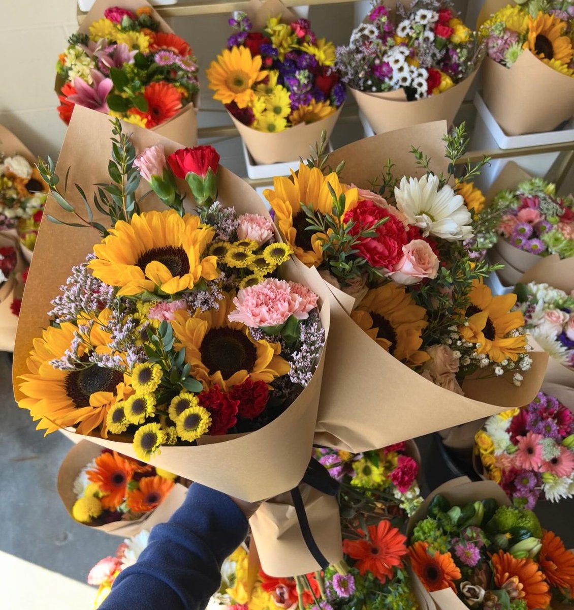 Sunflowers make everything better.