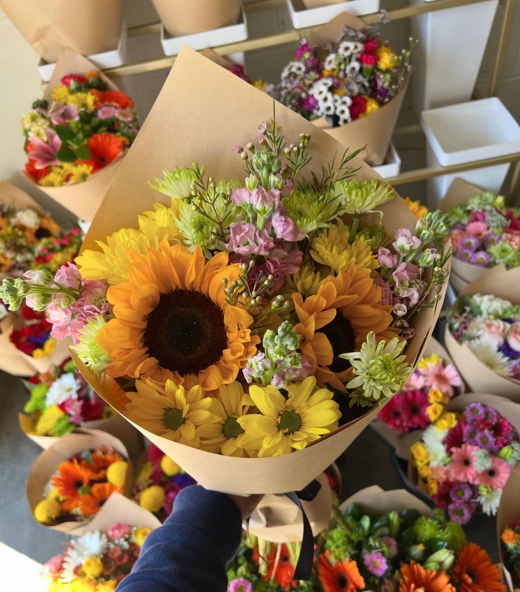 sunflowerchives's tweet photo. Sunflowers make everything better. https://t.co/H0tHxzxjK7