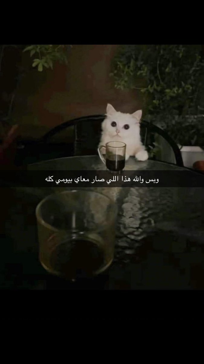 يحدّثُني الحبيب حديثَ ودٍّ
فأبتسمُ ثم أطلبُ أن يُعيدا
وليس صعوبةً في الفهمِ لكن 
أحبُّ حديثَهُ حُبًا شديدا.