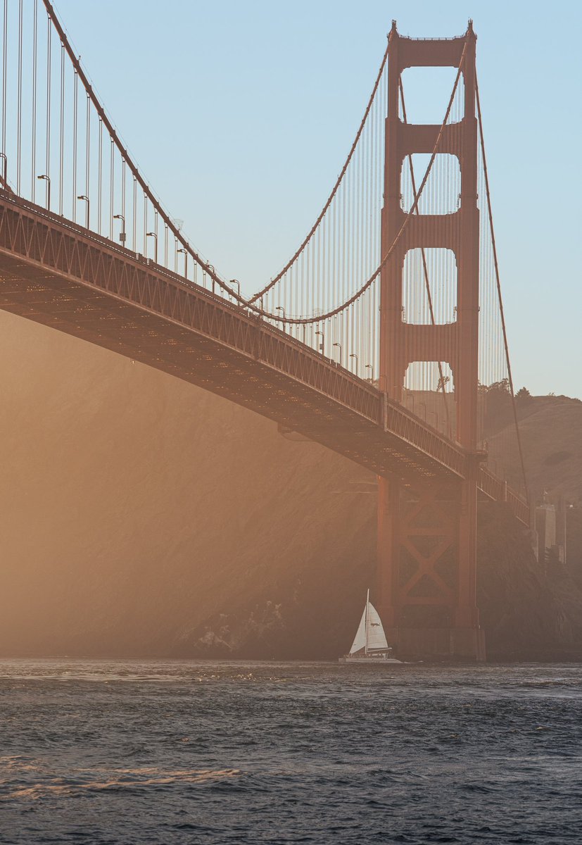 Gil Tamin tweet media