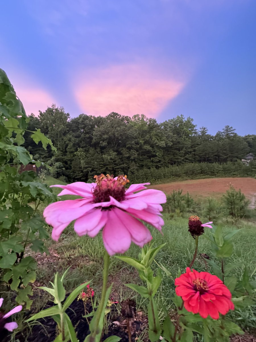 YOUNGTY's tweet image. Beautiful sky at sunset here in Trussville @weswyattweather @LaurenLinahan @mattdanielwx @toniatalkss @WBRCweather @WBRCnews @jpdiceATP