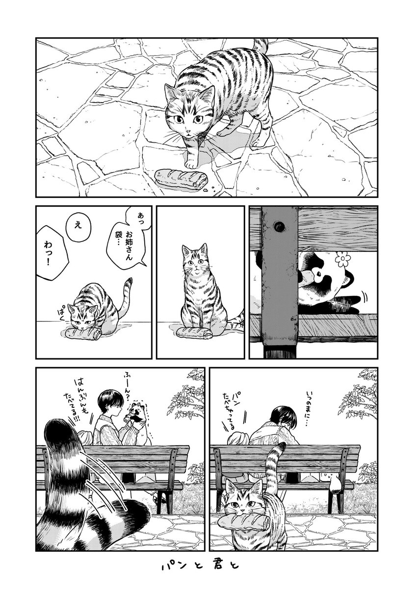 🥖🐈🐕