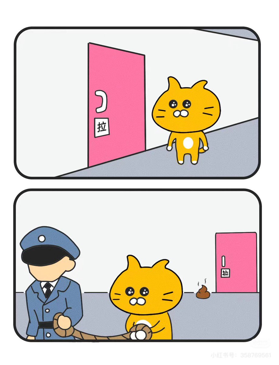 AKIdotxyz's tweet photo. HSK1級を取得したばかりの猫ちゃん。 https://t.co/1z4jP2K5ek