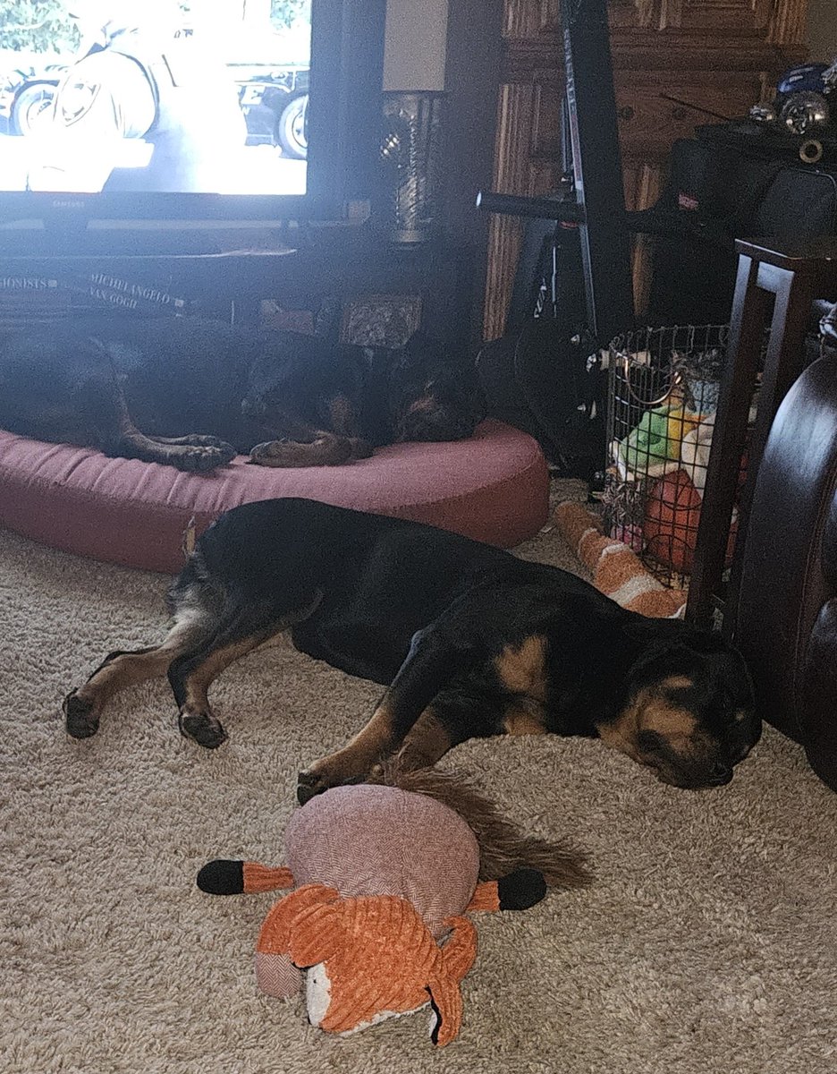 Johnbarney504's tweet photo. @OfficialOPLive @OnPatrolNation @OPLiveyes @OnPatrolLive @OnPatrolFNation #OPLive #Raspberry #OPLiveWatchParty
Some watch party. Raspberry and Blueberry may be animals, just not "Party animals"! ๐
https://t.co/f3P46IYhmj