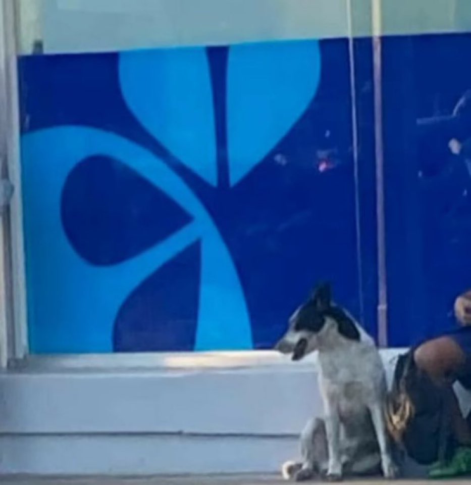 Rescata (@carmenzr04) on Twitter photo 