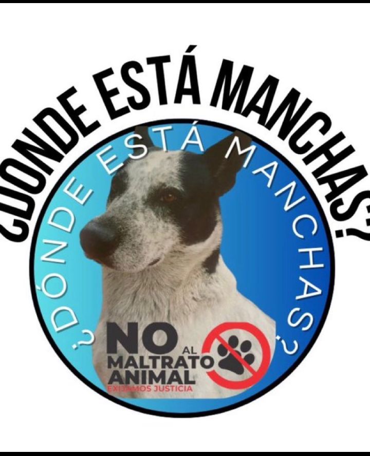 Rosa Olivares tweet media