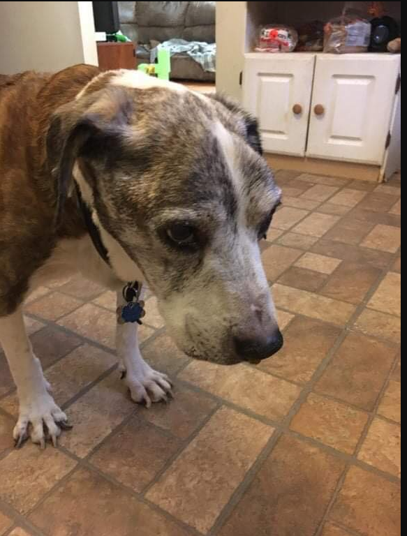 "Today is my 18th birthday everyone." ❤