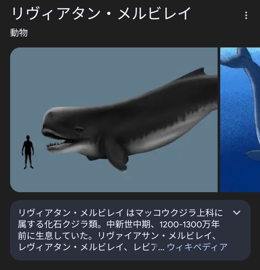化石が発見されるほど古代からいる リヴィアタンとも表記される クジラ
