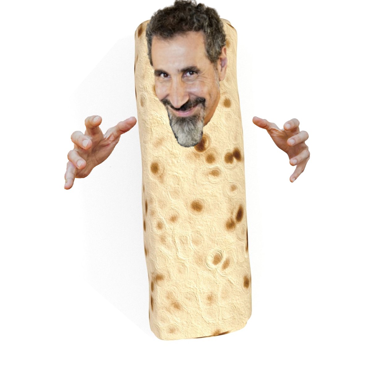 astrobroski's tweet photo. I photoshopped @serjtankian onto a burrito. https://t.co/b0InFpZZGi
